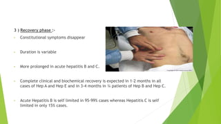 3 ) Recovery phase :-
• Constitutional symptoms disappear
• Duration is variable
• More prolonged in acute hepatitis B and C.
• Complete clinical and biochemical recovery is expected in 1-2 months in all
cases of Hep A and Hep E and in 3-4 months in ¾ patients of Hep B and Hep C.
• Acute Hepatitis B is self limited in 95-99% cases whereas Hepatitis C is self
limited in only 15% cases.
 