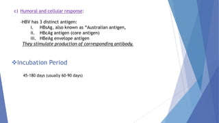 c) Humoral and cellular response:
-HBV has 3 distinct antigen:
i. HBsAg, also known as ―Australian antigen,
ii. HBcAg antigen (core antigen)
iii. HBeAg envelope antigen
They stimulate production of corresponding antibody.
Incubation Period
45-180 days (usually 60-90 days)
 