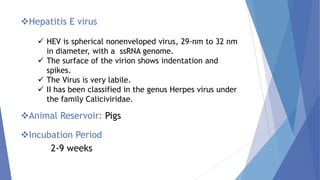 Hepatitis E virus
 HEV is spherical nonenveloped virus, 29-nm to 32 nm
in diameter, with a ssRNA genome.
 The surface of the virion shows indentation and
spikes.
 The Virus is very labile.
 II has been classified in the genus Herpes virus under
the family Caliciviridae.
Incubation Period
2-9 weeks
Animal Reservoir: Pigs
 