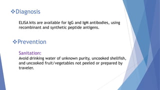 Diagnosis
ELISA kits are available for IgG and IgM antibodies, using
recombinant and synthetic peptide antigens.
Prevention
Sanitation:
Avoid drinking water of unknown purity, uncooked shellfish,
and uncooked fruit/vegetables not peeled or prepared by
traveler.
 