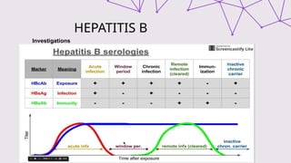 HEPATITIS B
Investigations
 