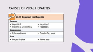 CAUSES OF VIRAL HEPATITIS
 