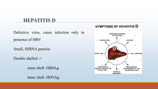 Hep Shell Viral Hepatitis along with serological markers.pdf