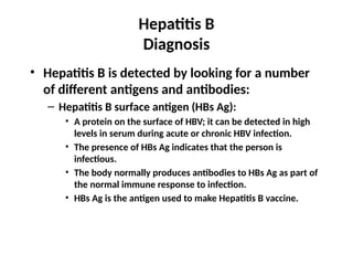 Hepatitis B
Diagnosis
• Hepatitis B is detected by looking for a number
of different antigens and antibodies:
– Hepatitis B surface antigen (HBs Ag):
• A protein on the surface of HBV; it can be detected in high
levels in serum during acute or chronic HBV infection.
• The presence of HBs Ag indicates that the person is
infectious.
• The body normally produces antibodies to HBs Ag as part of
the normal immune response to infection.
• HBs Ag is the antigen used to make Hepatitis B vaccine.
 