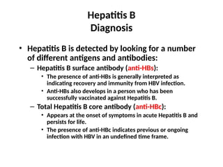 Hepatitis B
Diagnosis
• Hepatitis B is detected by looking for a number
of different antigens and antibodies:
– Hepatitis B surface antibody (anti-HBs):
• The presence of anti-HBs is generally interpreted as
indicating recovery and immunity from HBV infection.
• Anti-HBs also develops in a person who has been
successfully vaccinated against Hepatitis B.
– Total Hepatitis B core antibody (anti-HBc):
• Appears at the onset of symptoms in acute Hepatitis B and
persists for life.
• The presence of anti-HBc indicates previous or ongoing
infection with HBV in an undefined time frame.
 