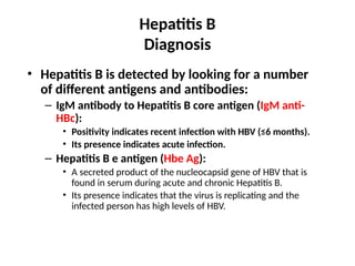 Hepatitis B
Diagnosis
• Hepatitis B is detected by looking for a number
of different antigens and antibodies:
– IgM antibody to Hepatitis B core antigen (IgM anti-
HBc):
• Positivity indicates recent infection with HBV (≤6 months).
• Its presence indicates acute infection.
– Hepatitis B e antigen (Hbe Ag):
• A secreted product of the nucleocapsid gene of HBV that is
found in serum during acute and chronic Hepatitis B.
• Its presence indicates that the virus is replicating and the
infected person has high levels of HBV.
 