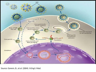 Source: Ganem, D., et al. (2004). N Engl J Med.
 