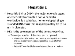 Hepatitis E
• Hepatitis E virus (HEV), the major etiologic agent
of enterically transmitted non-A hepatitis
worldwide, is a spherical, non-enveloped, single
stranded RNA virus that is approximately 32 to 34
nm in diameter.
• HEV is the sole member of the genus Hepevirus.
– Two major species of the virus are recognized:
• Mammalian HEV, a virus that causes acute hepatitis in humans
and has a reservoir in pigs and possibly a range of other
mammals
• Avian HEV, causing big liver and spleen disease in chickens
 