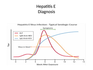 Hepatitis E
Diagnosis
 