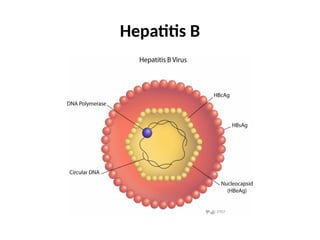 Hepatitis B
 