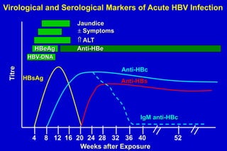 Virological and Serological Markers of Acute HBV Infection
Jaundice
Symptoms

HBeAg

ALT
Anti-HBe

Titre

HBV-DNA

Anti-HBc
HBsAg

Anti-HBs

IgM anti-HBc

4

8 12 16 20 24 28 32 36 40
Weeks after Exposure

52

 