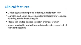 Clinical features
• Clinical signs and symptoms indistinguishable from HAV
• Jaundice, dark urine, anorexia, abdominal discomfort, nausea,
vomiting, tender hepatomegaly
• Mostly self limited disease except in pregnant women
• Infants infected by vertical transmission have increased risk of
fulminant hepatitis
 