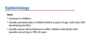 Epidemiology
Host:
• Common in children
• Usually asymptomatic in children below 6 years of age, with only 10%
developing jaundice
• Usually causes clinical disease in older children and adults with
jaundice occurring in 70% of cases
 