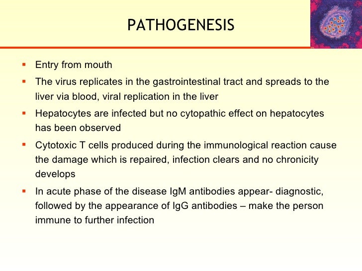 Viral Hepatitis A E
