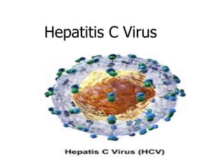 Hepatitis C Virus
 