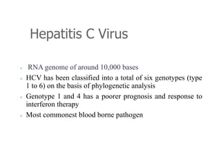 Hepatitis C Virus
< RNA genome of around 10,000 bases
< HCV has been classified into a total of six genotypes (type
1 to 6) on the basis of phylogenetic analysis
< Genotype 1 and 4 has a poorer prognosis and response to
interferon therapy
< Most commonest blood borne pathogen
 