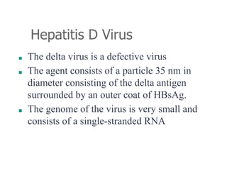 Hepatitis D Virus
■ The delta virus is a defective virus
■ The agent consists of a particle 35 nm in
diameter consisting of the delta antigen
surrounded by an outer coat of HBsAg.
■ The genome of the virus is very small and
consists of a single-stranded RNA
 