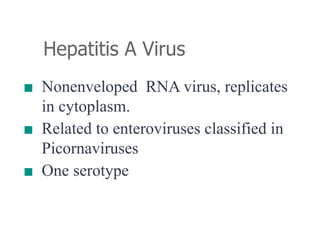 Hepatitis A Virus
■ Nonenveloped RNA virus, replicates
in cytoplasm.
■ Related to enteroviruses classified in
Picornaviruses
■ One serotype
 