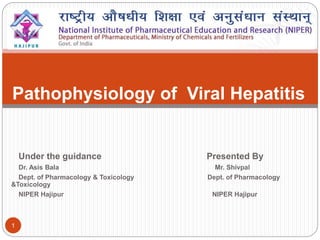 Pathophysiology of Viral Hepatitis
Under the guidance Presented By
Dr. Asis Bala Mr. Shivpal
Dept. of Pharmacology & Toxicology Dept. of Pharmacology
&Toxicology
NIPER Hajipur NIPER Hajipur
1
 