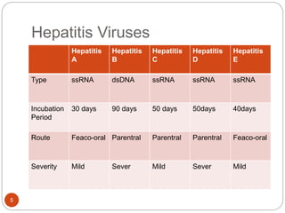 viral-hepatitis-pathophsiology-of-hepatitis-b-pptx