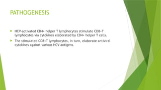 PATHOGENESIS
 HCV-activated CD4+ helper T lymphocytes stimulate CD8+T
lymphocytes via cytokines elaborated by CD4+ helper T cells.
 The stimulated CD8+T lymphocytes, in turn, elaborate antiviral
cytokines against various HCV antigens.
 
