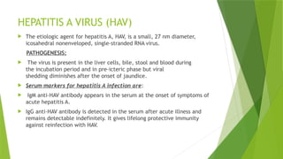 HEPATITIS A VIRUS (HAV)
 The etiologic agent for hepatitis A, HAV, is a small, 27 nm diameter,
icosahedral nonenveloped, single-stranded RNA virus.
PATHOGENESIS:
 The virus is present in the liver cells, bile, stool and blood during
the incubation period and in pre-icteric phase but viral
shedding diminishes after the onset of jaundice.
 Serum markers for hepatitis A infection are:
 IgM anti-HAV antibody appears in the serum at the onset of symptoms of
acute hepatitis A.
 IgG anti-HAV antibody is detected in the serum after acute illness and
remains detectable indefinitely. It gives lifelong protective immunity
against reinfection with HAV.
 