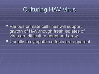Culturing HAV virus
Culturing HAV virus
 Various primate cell lines will support
Various primate cell lines will support
grwoth of HAV,though fresh isolates of
grwoth of HAV,though fresh isolates of
virus are difficult to adapt and grow.
virus are difficult to adapt and grow.
 Usually to cytopathic effects are apparent
Usually to cytopathic effects are apparent
 