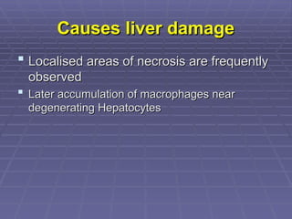 Causes liver damage
Causes liver damage
 Localised areas of necrosis are frequently
Localised areas of necrosis are frequently
observed
observed
 Later accumulation of macrophages near
Later accumulation of macrophages near
degenerating Hepatocytes
degenerating Hepatocytes
 