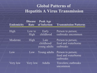 Endemicity
Disease
Rate
Peak Age
of Infection Transmission Patterns
High Low to
High
Early
childhood
Person to person;
outbreaks uncommon
Moderate High Late
childhood/
young adults
Person to person;
food and waterborne
outbreaks
Low Low Young adults Person to person;
food and waterborne
outbreaks
Very low Very low Adults Travelers; outbreaks
uncommon
Global Patterns of
Hepatitis A Virus Transmission
 