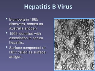 Hepatitis B Virus
 Blumberg in 1965
Blumberg in 1965
discovers, names as
discovers, names as
Australia antigen.
Australia antigen.
 1968 identified with
1968 identified with
association in serum
association in serum
hepatitis.
hepatitis.
 Surface component of
Surface component of
HBV called as surface
HBV called as surface
antigen.
antigen.
 