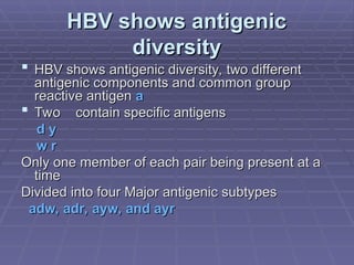 HBV shows antigenic
HBV shows antigenic
diversity
diversity
 HBV shows antigenic diversity, two different
HBV shows antigenic diversity, two different
antigenic components and common group
antigenic components and common group
reactive antigen
reactive antigen a
a
 Two contain specific antigens
Two contain specific antigens
d y
d y
w r
w r
Only one member of each pair being present at a
Only one member of each pair being present at a
time
time
Divided into four Major antigenic subtypes
Divided into four Major antigenic subtypes
adw, adr, ayw, and ayr
adw, adr, ayw, and ayr
 