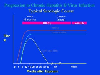 IgM anti-HBc
Total anti-HBc
HBsAg
Acute
(6 months)
HBeAg
Chronic
(Years)
anti-HBe
0 4 8 12 16 20 24 28 32 36 52 Years
Weeks after Exposure
Titr
e
Progression to Chronic Hepatitis B Virus Infection
Typical Serologic Course
 