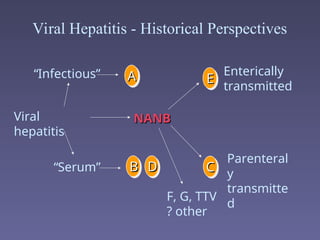 A
A
“Infectious”
“Serum”
Viral
hepatitis
Enterically
transmitted
Parenteral
y
transmitte
d
F, G, TTV
? other
E
E
NANB
NANB
B
B D
D C
C
Viral Hepatitis - Historical Perspectives
 