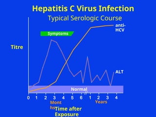 Symptoms
anti-
HCV
ALT
Normal
0 1 2 3 4 5 6 1 2 3 4
Hepatitis C Virus Infection
Typical Serologic Course
Titre
Mont
hs
Years
Time after
Exposure
 