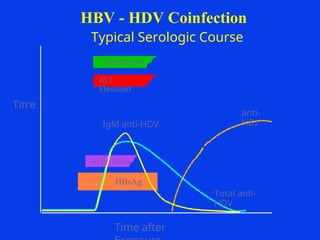 anti-
HBs
Symptoms
ALT
Elevated
Total anti-
HDV
IgM anti-HDV
HDV RNA
HBsAg
HBV - HDV Coinfection
Typical Serologic Course
Time after
Titre
 