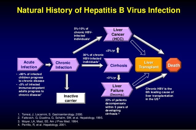 Natural History Of Acute Hepatitis B Natural History Of Acute Hepatitis B