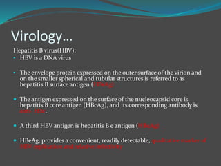 Virology…
Hepatitis B virus(HBV):
• HBV is a DNA virus
• The envelope protein expressed on the outer surface of the virion and
on the smaller spherical and tubular structures is referred to as
hepatitis B surface antigen (HBsAg)
 The antigen expressed on the surface of the nucleocapsid core is
hepatitis B core antigen (HBcAg), and its corresponding antibody is
anti- HBc.
 A third HBV antigen is hepatitis B e antigen (HBeAg)
 HBeAg, provides a convenient, readily detectable, qualitative marker of
HBV replication and relative infectivity
 