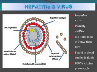 13
 Hepadna
virus
 Partially
dsDNA
 100 times more
infective than
HIV
 Found in blood
and body fluids
 HBV is vaccine
preventable
 