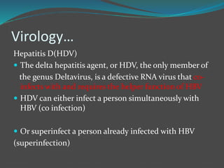 Virology…
Hepatitis D(HDV)
 The delta hepatitis agent, or HDV, the only member of
the genus Deltavirus, is a defective RNA virus that co-
infects with and requires the helper function of HBV
 HDV can either infect a person simultaneously with
HBV (co infection)
 Or superinfect a person already infected with HBV
(superinfection)
 