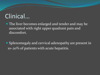 Clinical…
 The liver becomes enlarged and tender and may be
associated with right upper quadrant pain and
discomfort.
 Splenomegaly and cervical adenopathy are present in
10–20% of patients with acute hepatitis.
 