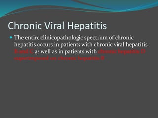 Chronic Viral Hepatitis
 The entire clinicopathologic spectrum of chronic
hepatitis occurs in patients with chronic viral hepatitis
B and C as well as in patients with chronic hepatitis D
superimposed on chronic hepatitis B
 