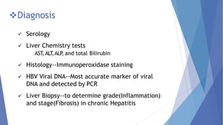 Diagnosis
 Serology
 Liver Chemistry tests
AST, ALT,ALP, and total Bilirubin
 Histology--Immunoperoxidase staining
 HBV Viral DNA--Most accurate marker of viral
DNA and detected by PCR
 Liver Biopsy--to determine grade(Inflammation)
and stage(Fibrosis) in chronic Hepatitis
 