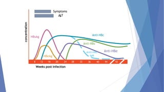 concentration
HBsAg
Anti-HBc
Anti-HBs
Anti-HBe
8
HBeAg
12 16 20 24
Weeks post infection
28 32
Anti-HBc
IgM
36 40 44 52
Symptoms
ALT
 