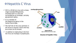 Hepatitis C Virus
 HCV is a 50-60 nm virus with a linear,
single stranded RNA genome,
enclosed with in a core and
surrounded by an envelope, carrying
glycoprotein spikes.
 It is a member of
the Hepacivirus genus in the
family Flaviviridae.
 The half life of the virus particles in
the serum is around 3 hours and may
be as short as 45 minutes.
 In addition to replicating in the liver
the virus can multiply in lymphocytes.
 