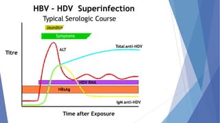 ALT
Total anti-HDV
HDV RNA
HBsAg
HBV – HDV Superinfection
Typical Serologic Course
Jaundice
Symptoms
IgM anti-HDV
Time after Exposure
Titre
 