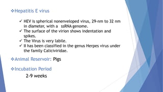 Hepatitis E virus
 HEV is spherical nonenveloped virus, 29-nm to 32 nm
in diameter, with a ssRNA genome.
 The surface of the virion shows indentation and
spikes.
 The Virus is very labile.
 II has been classified in the genus Herpes virus under
the family Caliciviridae.
Animal Reservoir: Pigs
Incubation Period
2-9 weeks
 
