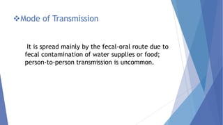 Mode of Transmission
It is spread mainly by the fecal-oral route due to
fecal contamination of water supplies or food;
person-to-person transmission is uncommon.
 