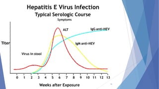 52
ALT IgG anti-HEV
IgM anti-HEV
Virus in stool
Hepatitis E Virus Infection
Typical Serologic Course
Symptoms
Titer
0 1 2 3 4 5 6 7 8 9 10 11 12 13
Weeks after Exposure
 