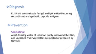 Diagnosis
ELISA kits are available for IgG and IgM antibodies, using
recombinant and synthetic peptide antigens.
Prevention
Sanitation:
Avoid drinking water of unknown purity, uncooked shellfish,
and uncooked fruit/vegetables not peeled or prepared by
traveler.
 