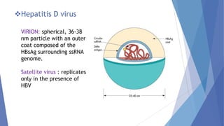 Jaundice
Symptoms
ALT
Total anti-HDV
IgM anti-HDV
HDV RNA
HBsAg
HBV – HDV Superinfection
Typical Serologic Course
Time aft...